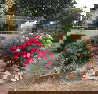 Statesman Motor Inn - New South Wales Tourism 