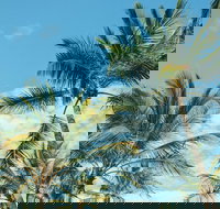 Base Magnetic Island Hostel - New South Wales Tourism 