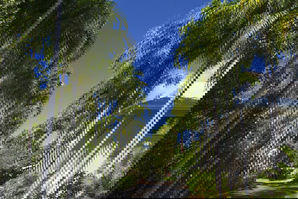 Lawn Hill QLD New South Wales Tourism 