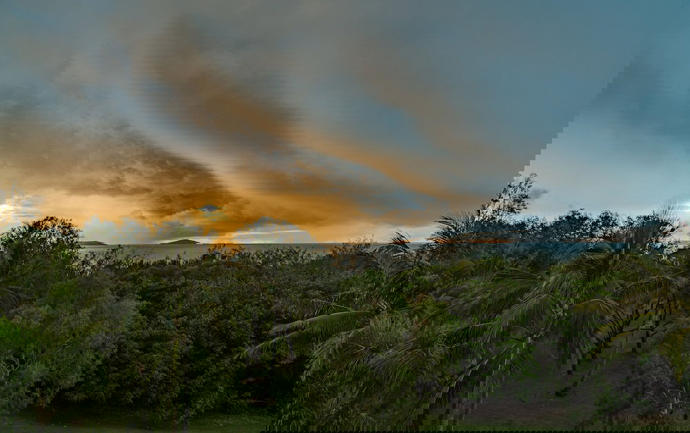 Clarke Creek QLD New South Wales Tourism 