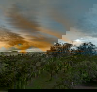Ocean International - New South Wales Tourism 