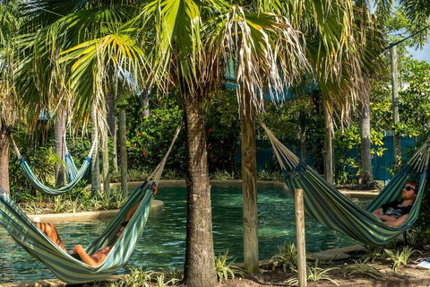 Summer House Backpackers Cairns - New South Wales Tourism  2