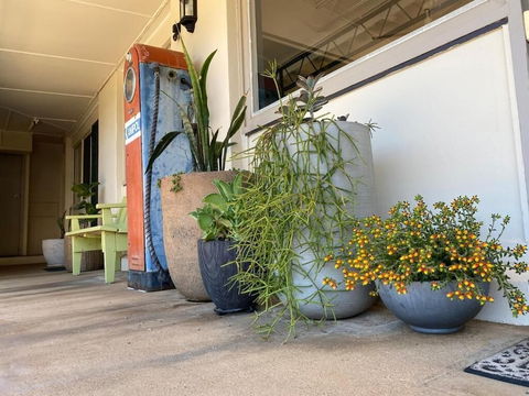 Ben Hall Motor Inn - New South Wales Tourism  5