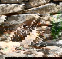 Jenolan Caves House - New South Wales Tourism 