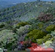 Mayfield on Montville - New South Wales Tourism 