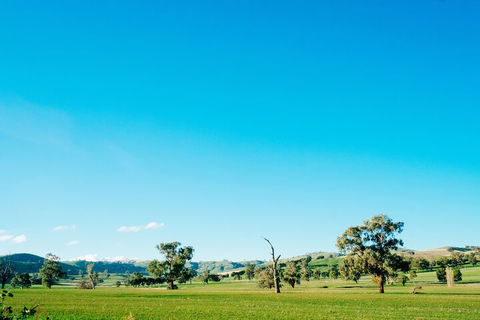 Kimo Estate - New South Wales Tourism  3