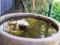 Hope Cottage Country Retreat - New South Wales Tourism  4