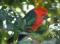 Hope Cottage Country Retreat - New South Wales Tourism  2