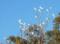 Hope Cottage Country Retreat - New South Wales Tourism  1