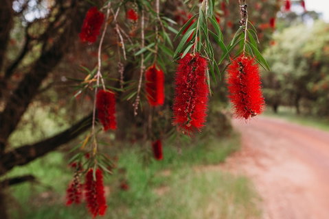 Margaret River Holiday Cottages - New South Wales Tourism  2