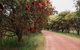 Margaret River Holiday Cottages - thumb 1