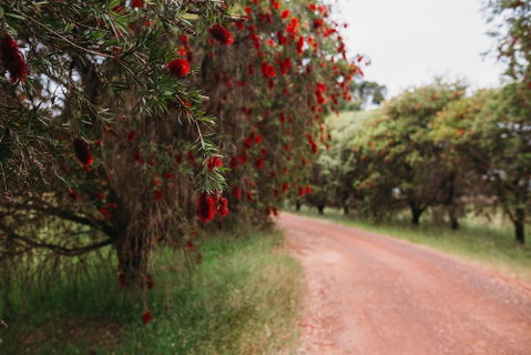 Margaret River Holiday Cottages - New South Wales Tourism  1