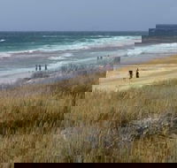Scarborough  Absolutely Beachfront - New South Wales Tourism 