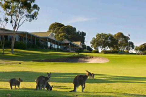 Early Settlers Motel Tocumwal - New South Wales Tourism  6