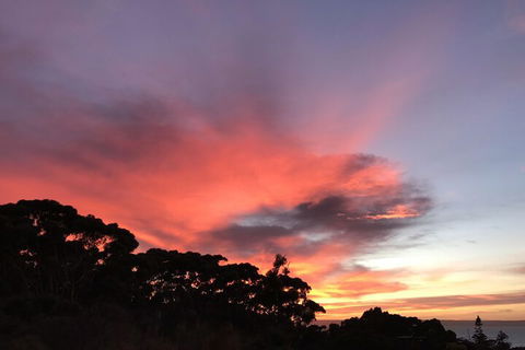 Sunrise On Falie - New South Wales Tourism  2