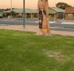 Lake Albert Motel - New South Wales Tourism 