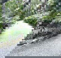Mountain Lodge - New South Wales Tourism 