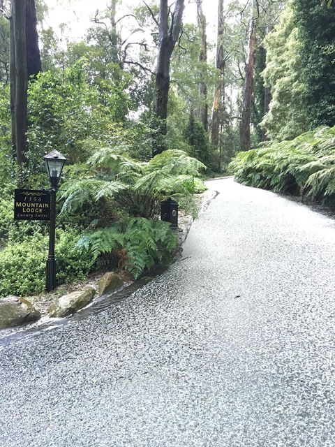 Mountain Lodge - New South Wales Tourism  0