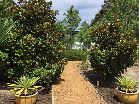 Bed + Bauhaus - New South Wales Tourism  2