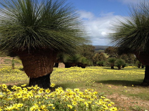 Bed + Bauhaus - New South Wales Tourism  5