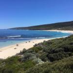 Bed + Bauhaus - New South Wales Tourism  0