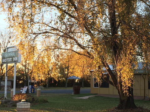 Guyra Motor Inn - New South Wales Tourism  1