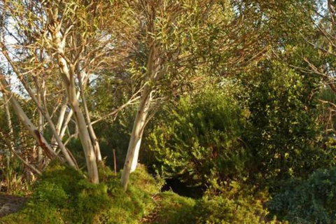 The Linden Bed & Breakfast - New South Wales Tourism  4