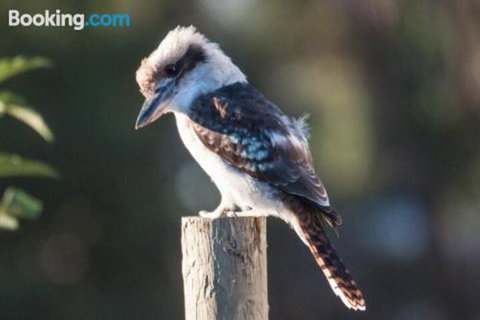 The Linden Bed & Breakfast - New South Wales Tourism  2