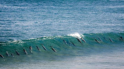 Neptune At Port Elliot - New South Wales Tourism  2