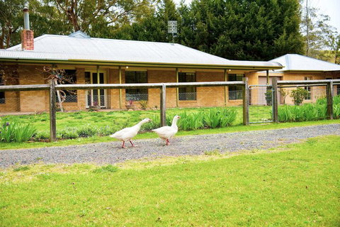 Farm Club Australia - New South Wales Tourism  1