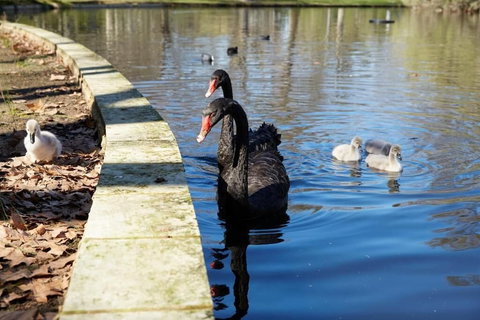 Pension Of Perth - New South Wales Tourism  4