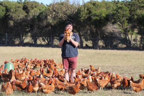 Bimbadeen Phillip Island Farm Retreats - New South Wales Tourism  4