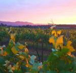 Red Door Collective RDC Estate - New South Wales Tourism 