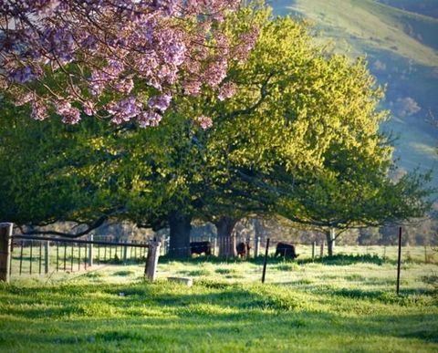 Alexandra Farmstay - New South Wales Tourism  6