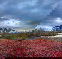 Saintys Creek Cottage - New South Wales Tourism 