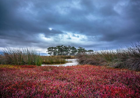 Saintys Creek Cottage - New South Wales Tourism  0