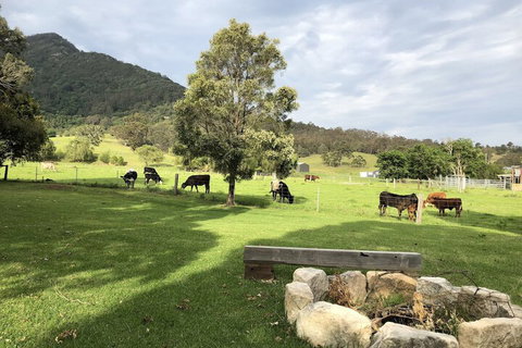 ARCADIA - The Barn Cottage & Rosehill Cottage - New South Wales Tourism  3