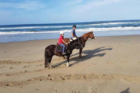 Nautica - New South Wales Tourism  1