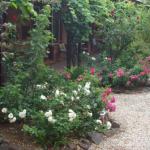 Maldons Eaglehawk Motel - New South Wales Tourism  0