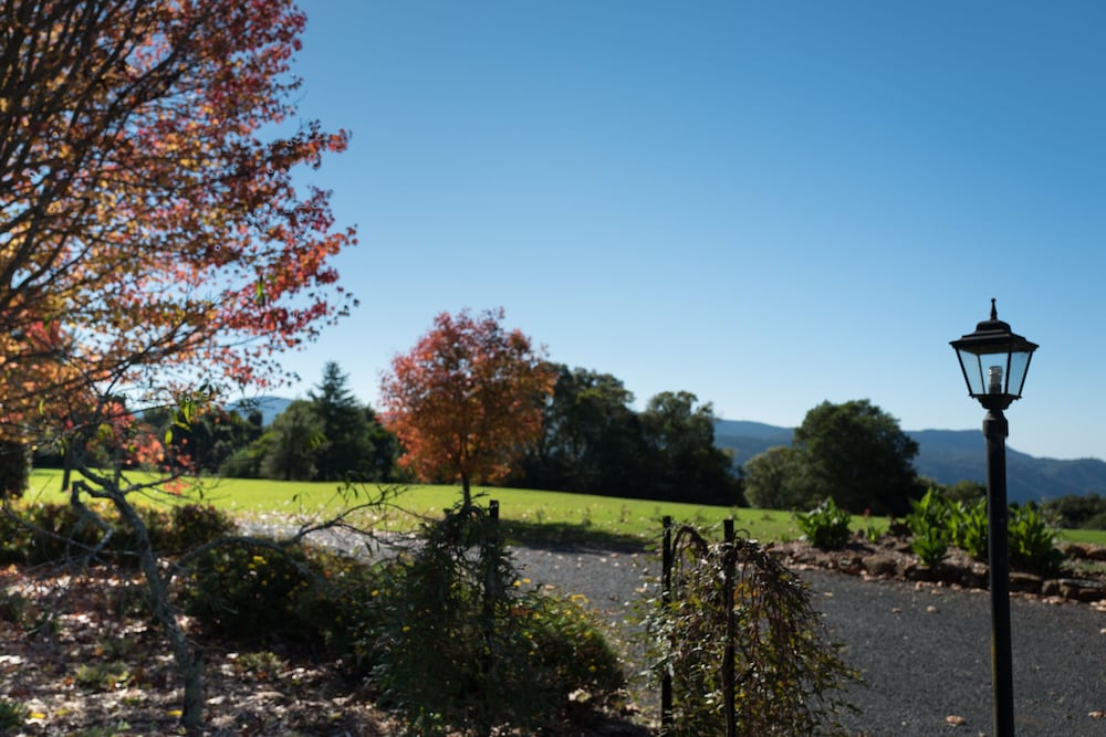 Bielsdown Hills NSW New South Wales Tourism 