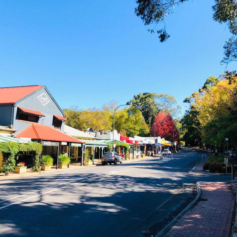 Aldgate Creek Cottage Bed & Breakfast - New South Wales Tourism  4