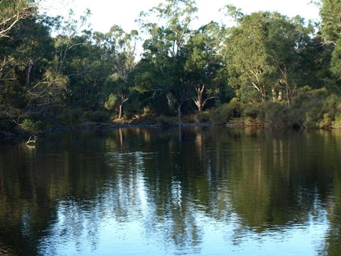 Rickaty On Blackwood - New South Wales Tourism  5