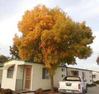 Wodonga Caravan  Cabin Park - New South Wales Tourism 