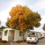 Wodonga Caravan & Cabin Park - New South Wales Tourism  1