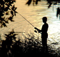 Wooli River Lodges - New South Wales Tourism 