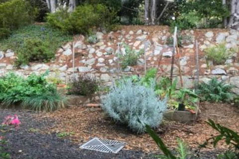Alpine Aspects - New South Wales Tourism  6