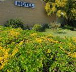 Esk Motel