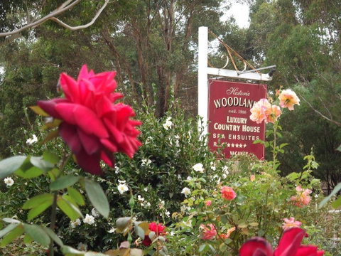 Woodlands Of Bridgetown B & B - New South Wales Tourism  5