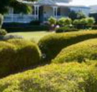 Whiskey Gully Wines - New South Wales Tourism 