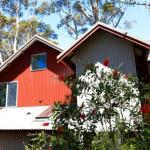 Pelicans At Denmark - New South Wales Tourism  0